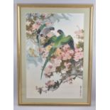 A Good Oriental Print Depicting Parrots in Tree with Blossom, 46x69cm