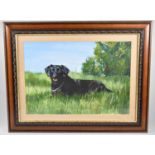 A Framed Pastel Depicting Black Labrador, 51x36cm