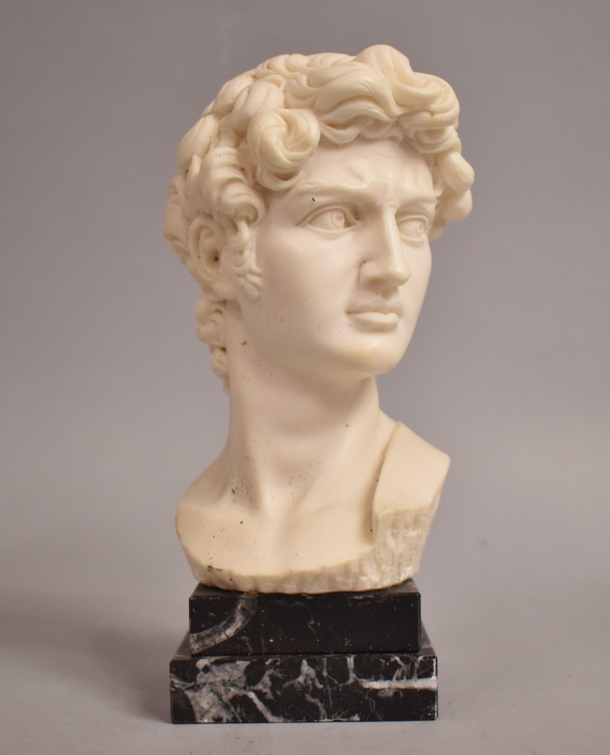 A Resin Bust of David Set on Stepped Marble Plinth, 21cm High
