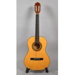 A Student's Acoustic Guitar, The Herald, Model No. M2104N