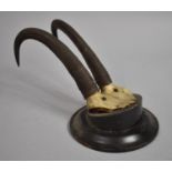 An Early 20th Century Sporting Chamois Trophy Antlers Mounted on Circular Plinth by S Neunaier