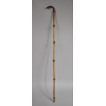 A Late 19th/Early 20th Century Ladies Walking Cane, 83cm Long