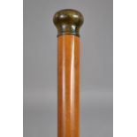 A 19th Century Malacca Walking Stick with a Horn Handle, 83cms Long