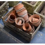 A Collection of Various Sized Terracotta Plant Pots
