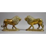 A Pair of Brass Lion Ornaments on Oval Plinths, 16.5cm Long