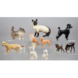 A Collection of Various Beswick Birds and Animals to Include Lion Cub, Various Dogs, Cats, Foals,