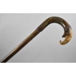 A Late 19th Century Colonial Horn Walking Stick with Novelty Handle in the Form of an Elephants