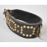 A Brass Studded Victorian Style Leather Dog Collar, 56cm Long