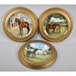 A Set of Three Gilt Framed Spode Decorated Plates, The Noble Horse Collection