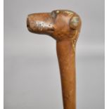 A Late 19th/Early 20th century Carved Walking Stick with Carved Greyhound Handle. 81cms Long