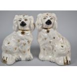 A Pair of Royal Doulton Staffordshire Spaniels, one is 2nd, 15cm high