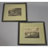 Two Framed Prints of Sporting Dogs