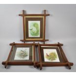 Three Vintage Pitch Pine Frames Containing Prints of Birds, 45cm x 37cm