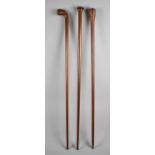 A Collection of Three Vintage Walking Canes to Include Sunday Morning Golfing Stick, Malacca Example