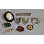 A Collection of Novelty Brooches to Include Abalone Shell, Cameo, Harp Shapes, Enamelled OCA