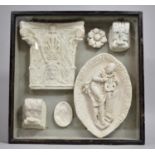 A Museum Type Display, 19th Century Plaster Cast Architectural Elements, Glazed Wooden Case