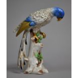 A Continental Porcelain Study of Blue Feathered Parrot on Branch Enriched with Gilt Highlights.