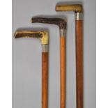 A Collection of Three Crop Handled Walking Sticks with Silver and White Metal Collars.