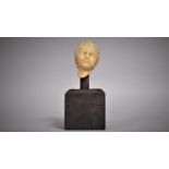An Antique Wax Bust of a Young Boy, Mounted on a Wooden Plinth, 25cms High