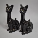 A Pair of Black Glazed Ceramic Seated Cats, 25cms High