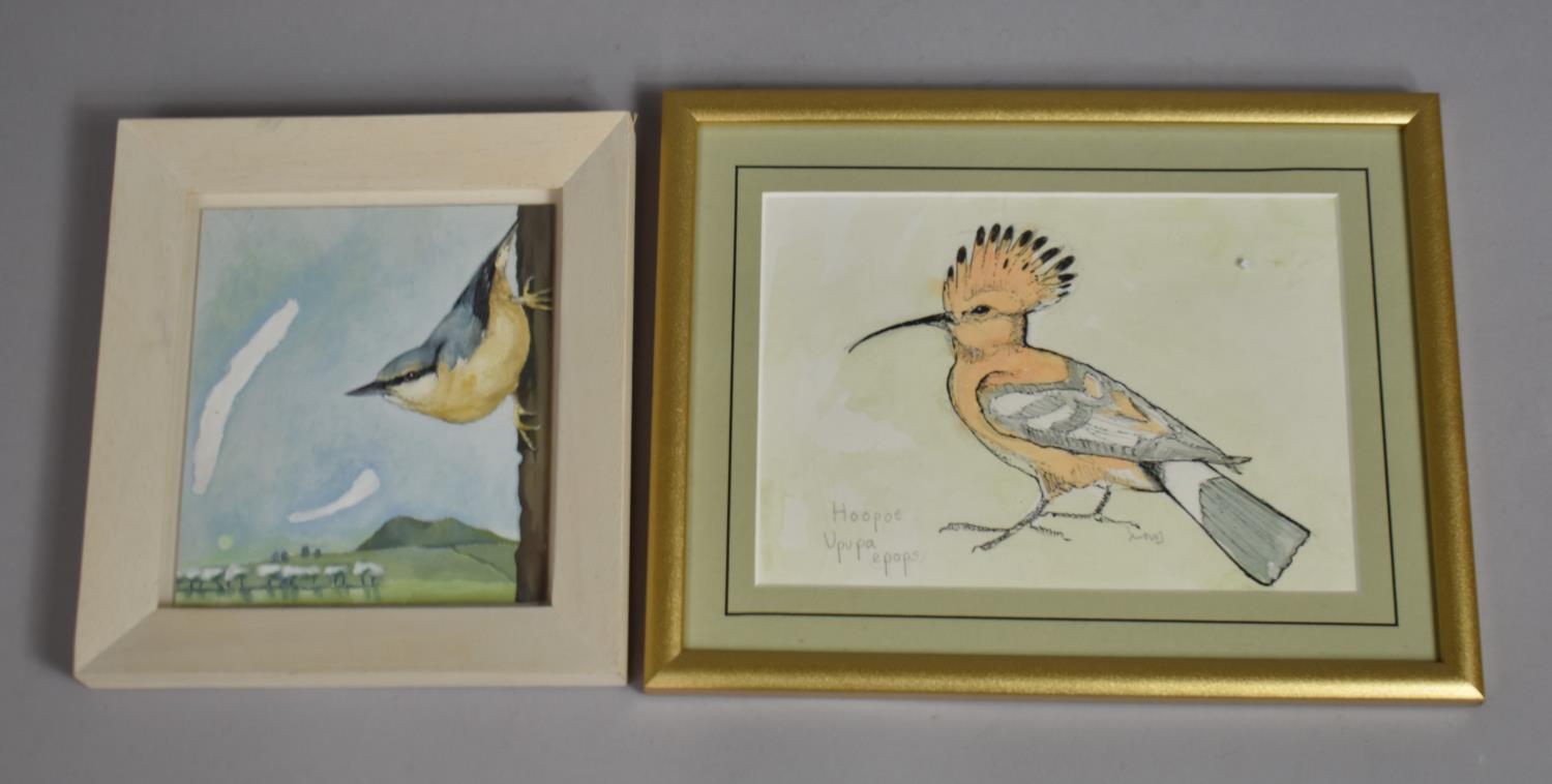 A Framed Oil of a Nuthatch and a Watercolour of a Hoopoe