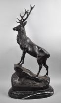 A Very Large and Heavy Bronze Study of Stag on Rock, Oval Marble Plinth, Overall Height 74cms, After