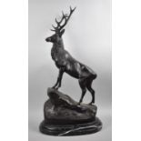 A Very Large and Heavy Bronze Study of Stag on Rock, Oval Marble Plinth, Overall Height 74cms, After