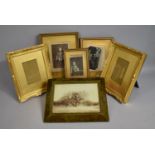 A Collection of Gilt Picture and Photo Frames etc