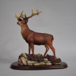 A Scottish Study of a Red Deer by Teviotdale, 30cm high WITHDRAWN