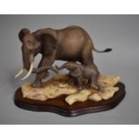 A Border Fine Arts Elephant and Calf On Mahogany Plinth Base, No.340/750