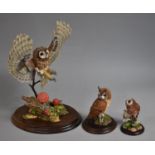 A Country Artists Owl Figure, Dawn Raid CA361 Together with Long Eared Owl CA394 and Little Owl