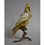 A Nice Quality Vienna Style Cold Painted Bronze Study of a Parrot Perched on Branch, 30cms High