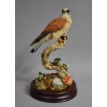 A Sherratt and Simpson Study of Bird of Prey on Circular Mahogany Plinth Base, 38cm high