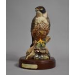 A Royal Doulton Matt Peregrine Falcon, HN3541 on Mahogany Plinth Base