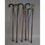 A Collection of Five Vintage Walking Sticks