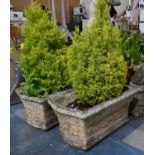 A Pair of Reconstituted Stone Rectangular Planters with Moulded Floral Decoration, 62cm Long
