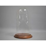 A Modern Glass Dome, 29.5cms High, Wooden Plinth Base, 18cms Diameter