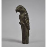 A Novelty Walking Stick Handle in the Form of a Parrot, 14cms High