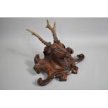 A 19th Century Black Forest Carved Walnut Deers Head Trophy Mounted with Real Antlers, 40cms Wide by