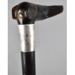 A Silver Mounted Walking Cane with Horn Handle in the Form of Greyhound's Head