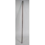 An Unusual and Tall Walking Stick With Scraffito Pokerwork Decoration, 141cm Long