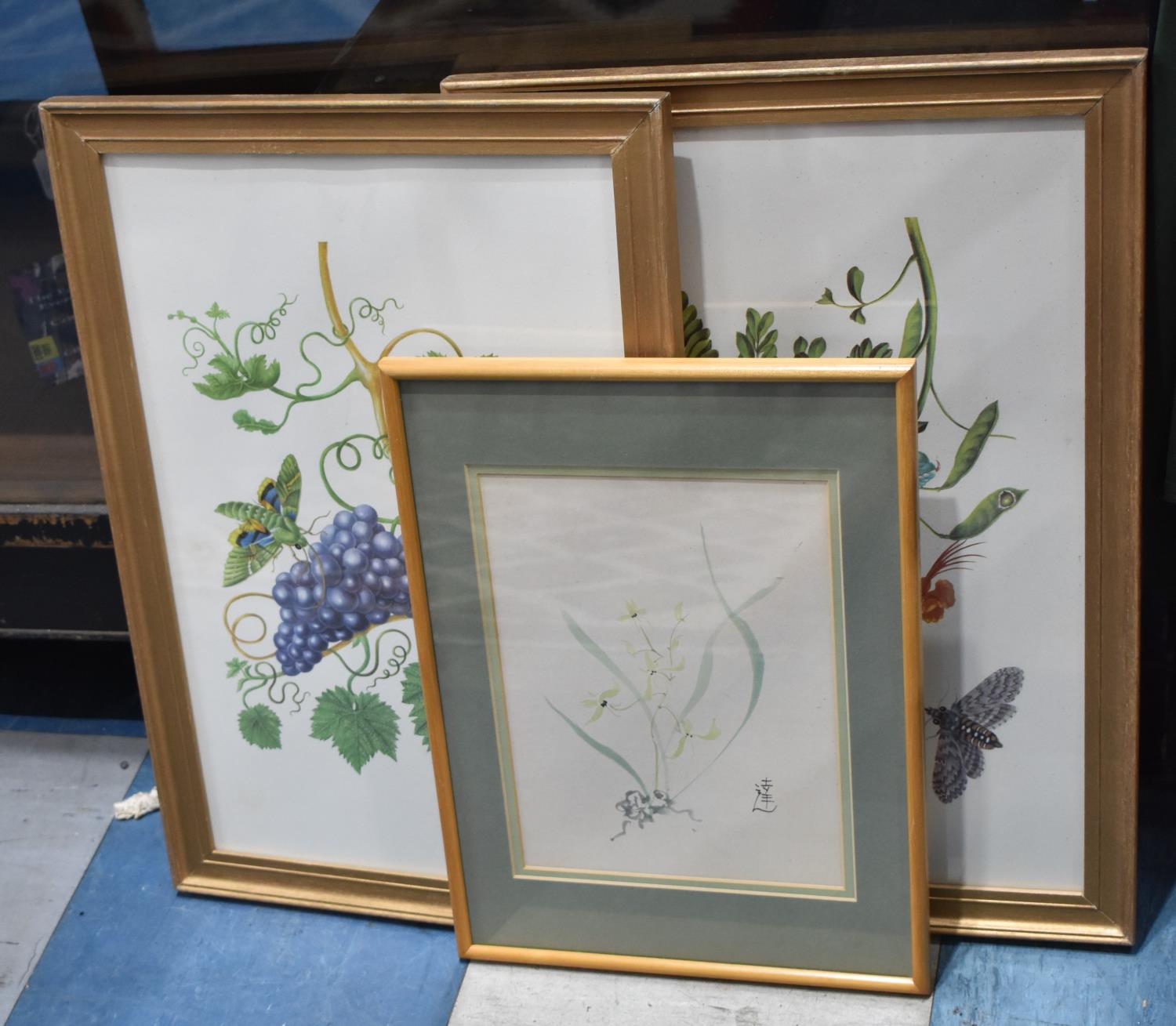 Three Botanic Prints