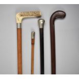 A Collection of Four Various Walking Sticks to Include Sunday Golf Stick, Horn Handled, Swagger