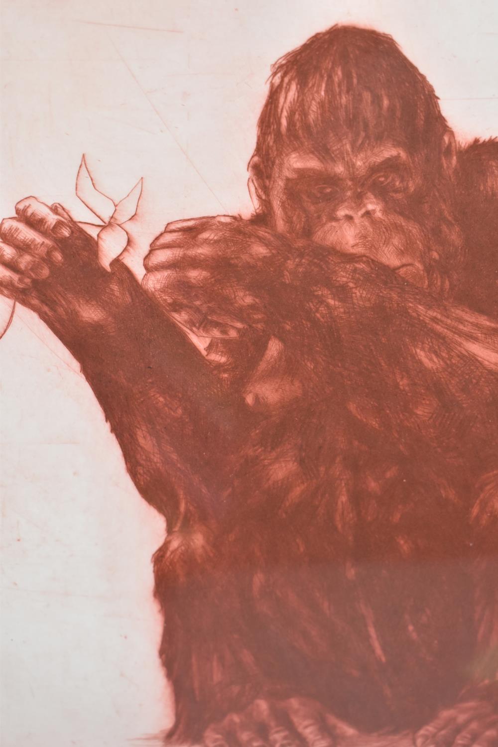 A Framed Limited Edition Print, Orangutan II, No.4/35, Helen Fay, 27cm Square - Image 2 of 2