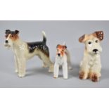 A Collection of Two Ceramic Fox Terriers and a Seated Dog