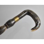 A Vintage Horn Walking Stick with Moulded and Inlaid Animal Head Handle