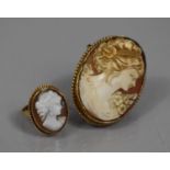 A 9ct Gold Framed Shell Cameo Brooch (43x33mms) together with a Similar 9ct Gold Cameo Ring, Size O.