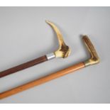 Two Bone Handled Walking Sticks