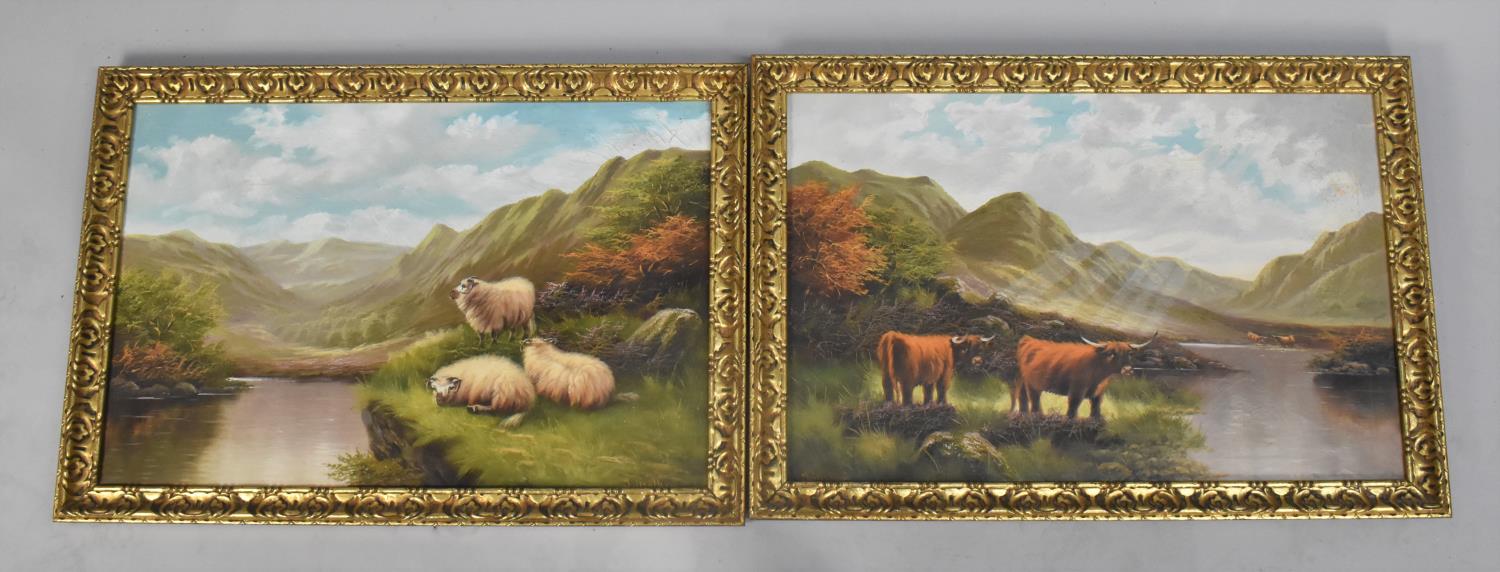 A Pair of Gilt Framed Oils on Canvas, Sheep and Highland Cattle, 60x39cms, Signed J Mathew