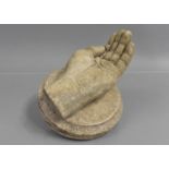 A 19th Century Life Sized Plaster Cast of a Human Hand, Mounted on a Circular Plinth, Possibly